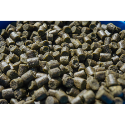 Pellets Marine Green Feed | Au Poisson d'étain