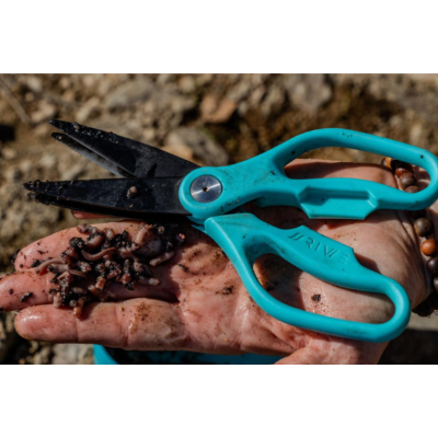 Ciseaux à Vers | Au Poisson d'étain